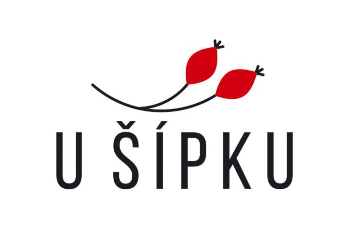 Dům U Šípku Hotel Krásná Lípa Exterior foto