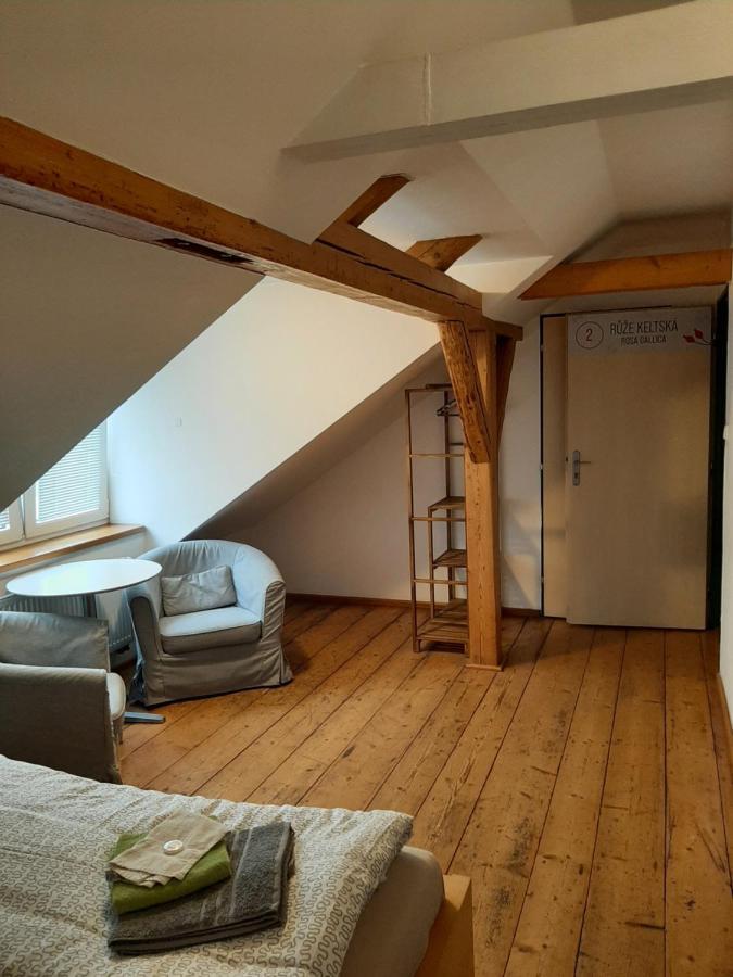Dům U Šípku Hotel Krásná Lípa Exterior foto